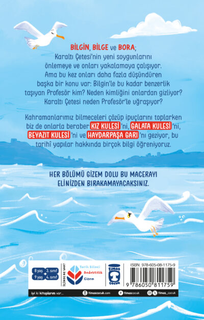 Profesör'ün Sırrının Peşinde - İstanbul Dedektifleri