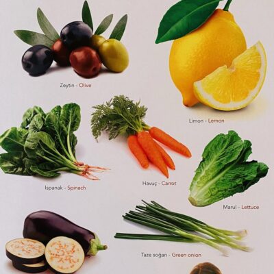 Ne Sorsan Bilir Minik - Benim İlk Bitkiler Kitabım