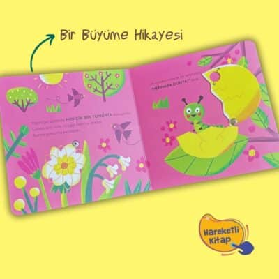 Artık Hazırım-Kelebek Olmaya (Hareketli Kitap)