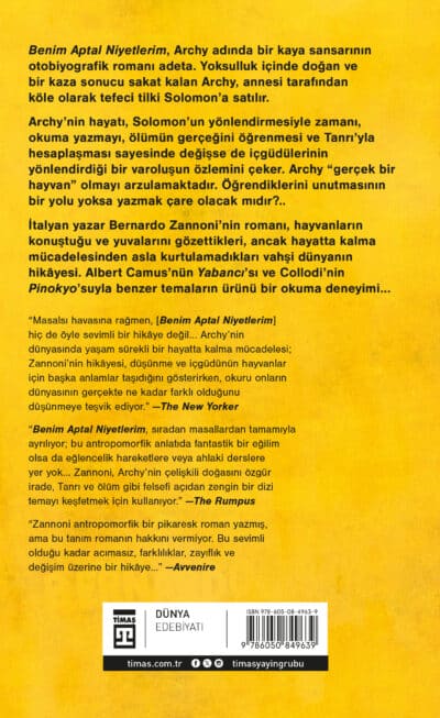 Benim Aptal Niyetlerim