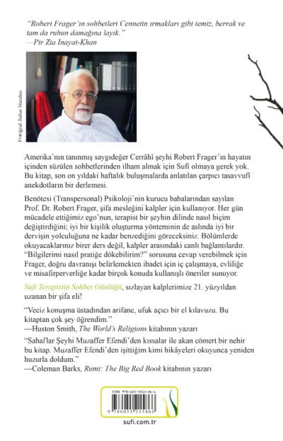 Sufi Terapistin Sohbet Günlüğü